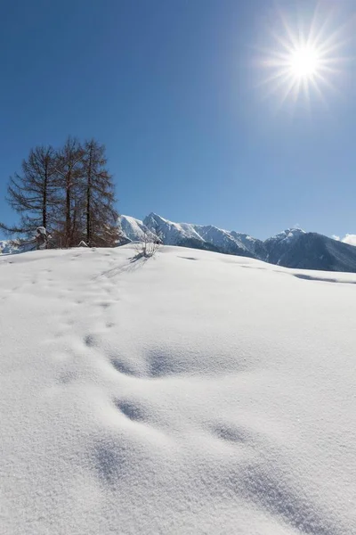 Winter Landscape Karwendel Mountains Seefeld Tyrol Austria Europe — Stock Photo, Image