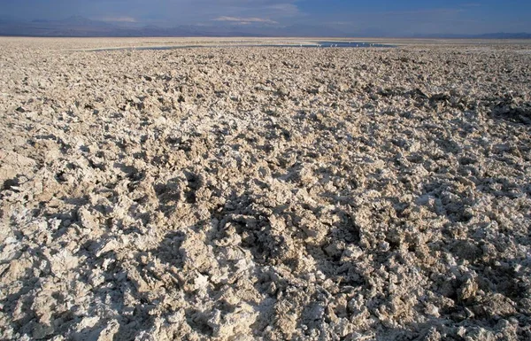 Salt Crust Salar Atacama Atacama Desert Chile South America — Stockfoto