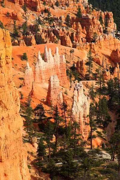 View Bryce Canyon Utah Usa North America — Stock Photo, Image