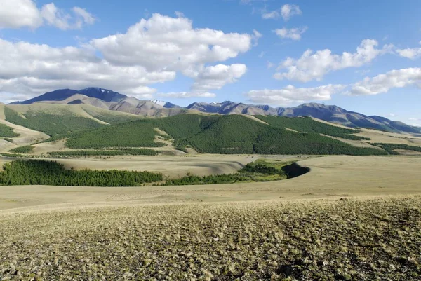 Saylyugem Mountains Chuya Steppe Altai Republic Siberia Russia Asia Europe — Photo