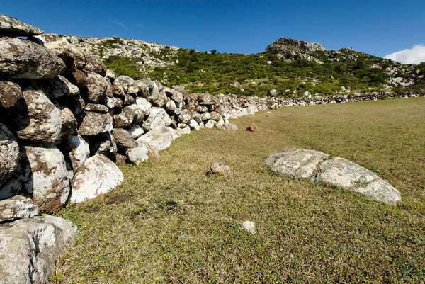 Green Highland Socotra Island Unesco World Heritage Site Yemen Asia — 스톡 사진