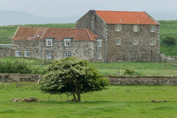 Typical Houses Holy Island Northumberland England United Kingdom Europe — Stock Photo, Image