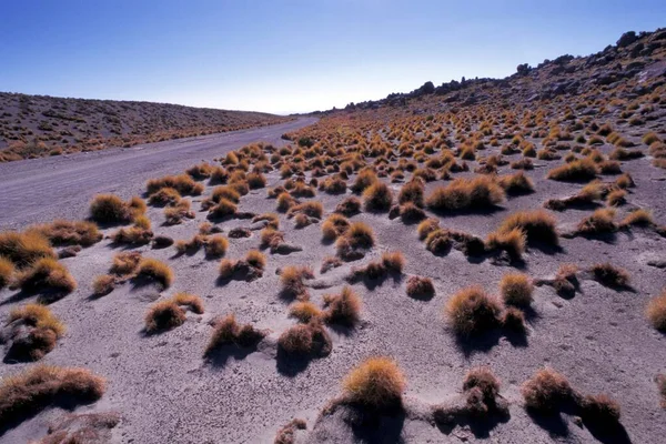 View Atacama Desert Chile — Stockfoto