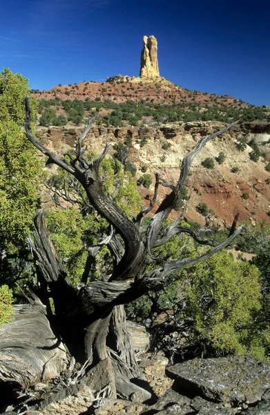 Rock Formation Reds Canyon San Rafael Swell Utah Usa North — Stock Photo, Image