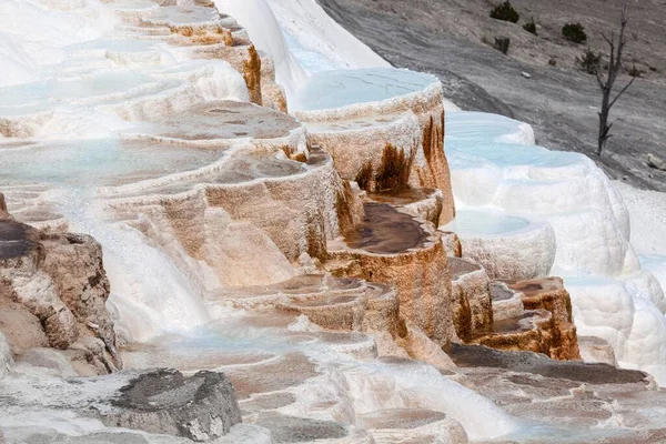 Sinter Terasları Kaplıcaları Maden Yatakları Canary Spring Main Terrace Mammoth — Stok fotoğraf