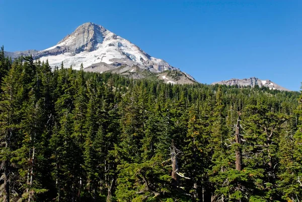 Hood Dağı Nın Doğu Yakası Elliot Buzulu Cascade Sıradağları Oregon — Stok fotoğraf