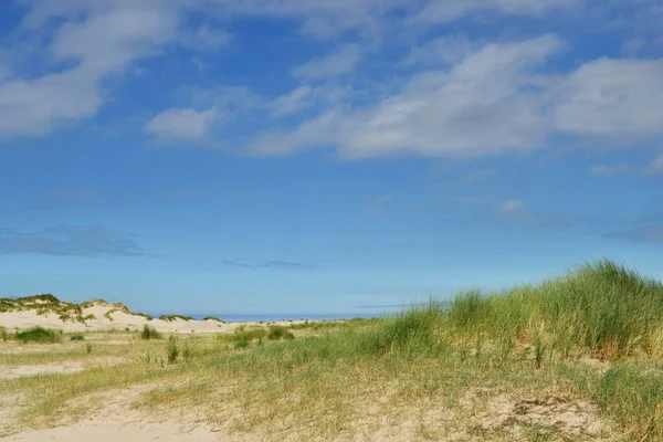 Grassy Dunes Blue Sky Norderney East Frisia Lower Saxony Germany — Foto de Stock