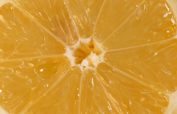 Lemon Citrus Limon Close View — Φωτογραφία Αρχείου