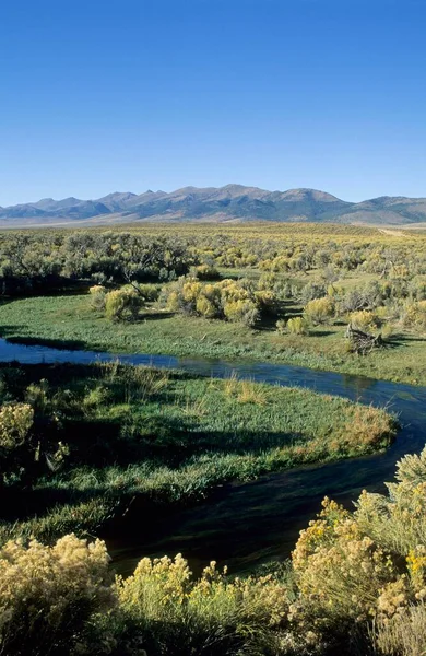 Huntington Valley Nevada Usa North America — Stockfoto