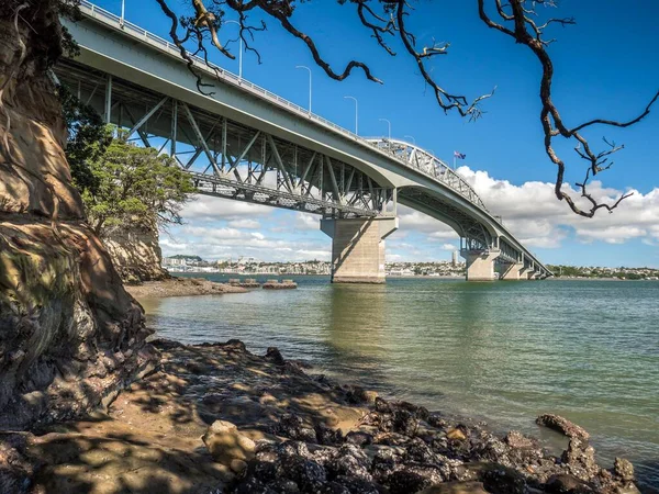 Harbor Bridge with skyline, Auckland, North Island, New Zealand, Oceania