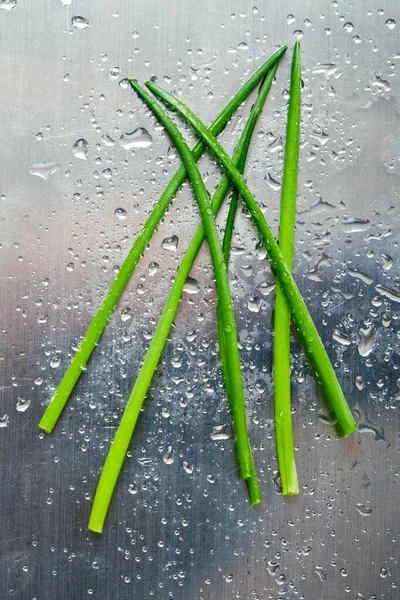 Chives Glass Surface Water Drops — Stock fotografie