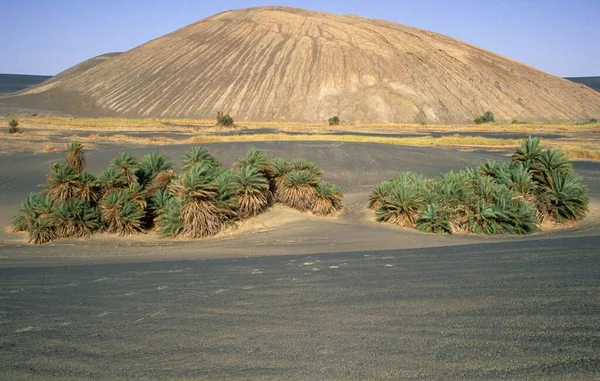 Cone Cinza Interior Vulcão Waw Namus Líbia África — Fotografia de Stock