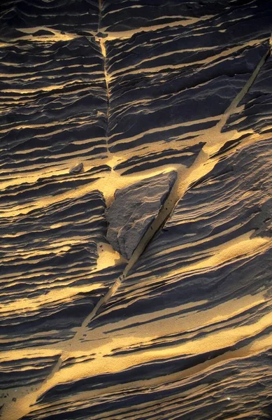 Desert Floor Texture Close View — Φωτογραφία Αρχείου