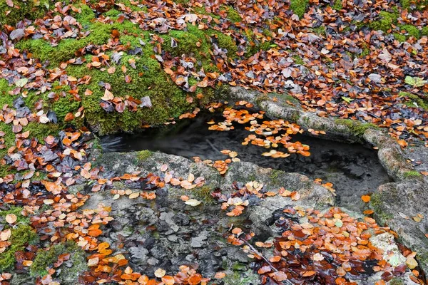 Brook Running Hollow Limestone Deposits Sense District Sensebezirk Freiburg Canton — Foto de Stock