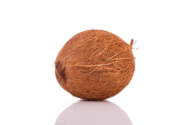 코코넛 열매를 가까이 — 스톡 사진
