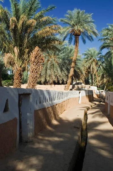 Palmengarten Bei Ghadames Ghadamis — Stockfoto