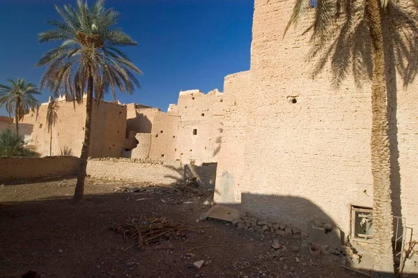 Ogród Palmowy Ghadames Ghadamis Libia Świat Dziedzictwa Unesco Afryka — Zdjęcie stockowe