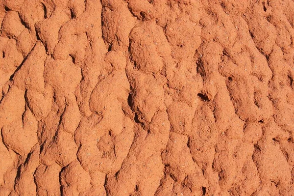 Detail Termite Hill Karijini National Park Pilbara Region Western Australia — стоковое фото