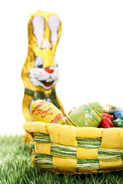 Easter Basket Lawn Front Chocolate Easter Bunny — Φωτογραφία Αρχείου