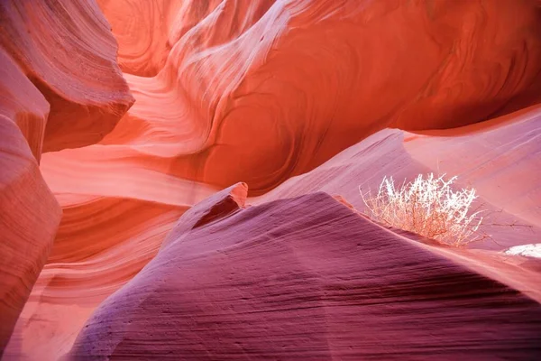 Antelope Canyon Page Arizona Usa North America —  Fotos de Stock