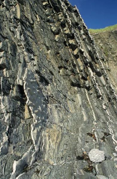 Berühmter Globaler Bezugspunkt Für Geologie Green Point Gros Morne National — Stockfoto
