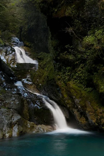 Waterfall Green Primeval Forest Routeburn Track Southland South Island New — Stockfoto