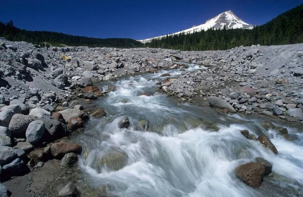 Mountain Stream Mount Hood Portland Cascade Range Oregon Usa North — Fotografia de Stock