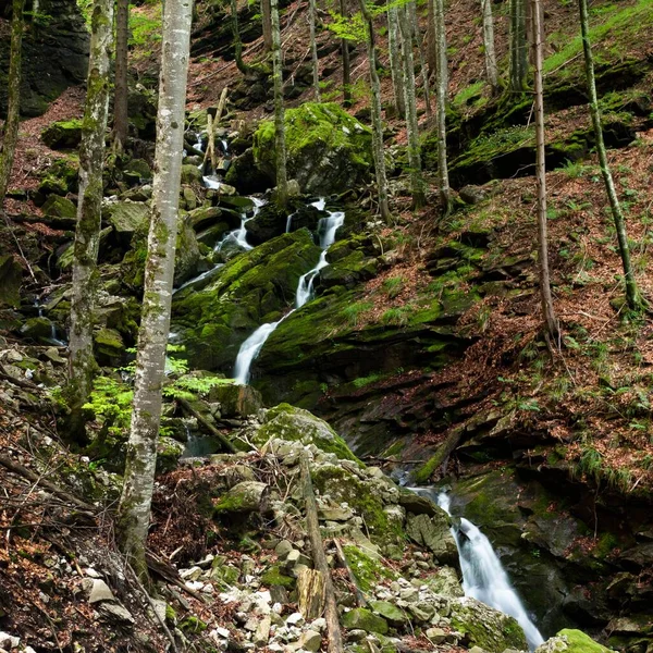 Mountain Stream Brueeltobel Ravine Appenzell Innerrhoden Inner Rhodes Switzerland Europe — Zdjęcie stockowe