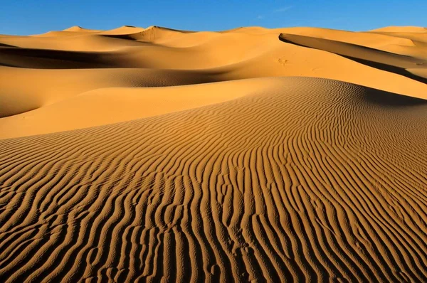 Small Erg Sand Dunes Tehenadou Adrar Ahnet Algeria Sahara North — Stok fotoğraf