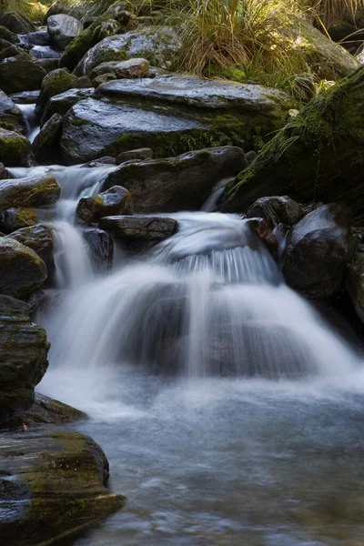 Stoney Mountain Stream Copland Track West Coast South Island New — Stockfoto