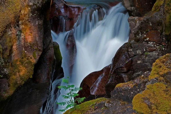 Дикий Ручей Лавинный Ручей Национальный Парк Фасье Роки Маунтейнс Монтана — стоковое фото