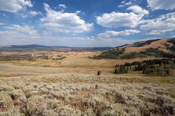 View from Grand Loop Road between Tower Roosevelt and Canyon Village on wide landscape, Yellowstone National Park, Wyoming, USA, North America