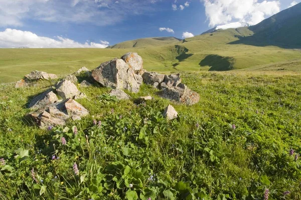 Grassland Front Drujba Mountain 4200 Kyrgyzstan Asia — Photo