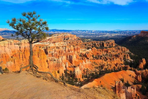Vista Para Bryce Canyon Utah Eua América Norte — Fotografia de Stock