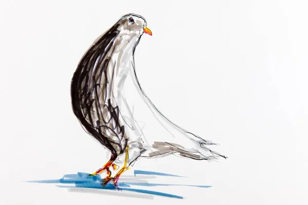 Dove Drawing Artist Gerhard Kraus Kriftel — Zdjęcie stockowe