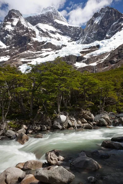 Glacial River French Valley View Snow Capped Cordilera Paine Grande — Photo