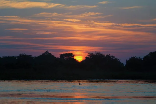 Wschód Słońca Nad Rzeką Cuiabá Pantanal Ameryki Południowej Brazylii Stanie — Zdjęcie stockowe