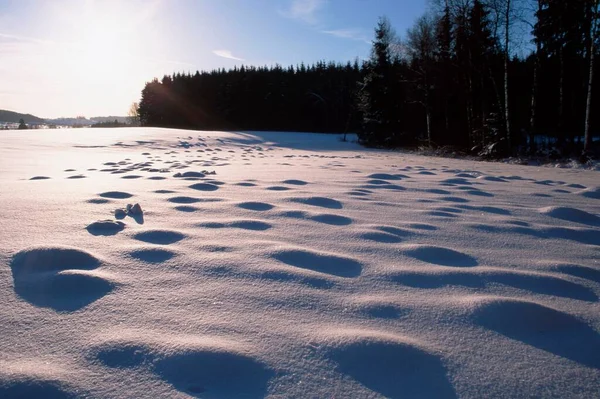 Зимовий Пейзаж Баден Вуртемберг Німеччина Європа — стокове фото