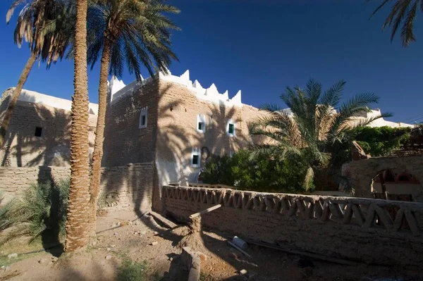 Jardín Palmeras Ghadames Ghadamis Patrimonio Humanidad Unesco Libia África — Foto de Stock