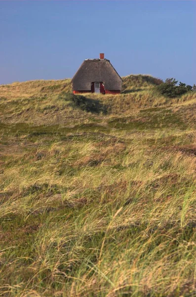 Lonely Old Summer House Limfjord Denmark Europe — Stockfoto