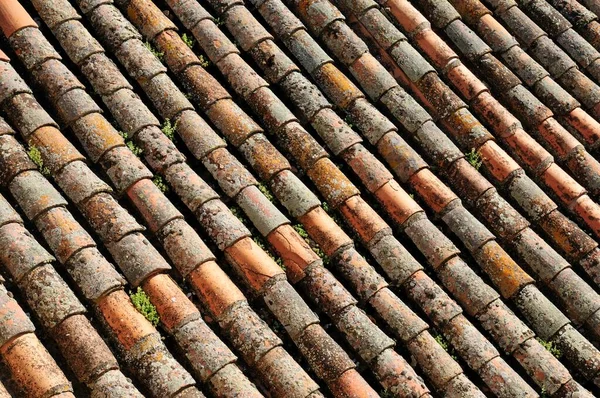 Roman Roof Tiles Cathedral Salamanca Castile Leon Castilla Leon Spain — Fotografia de Stock