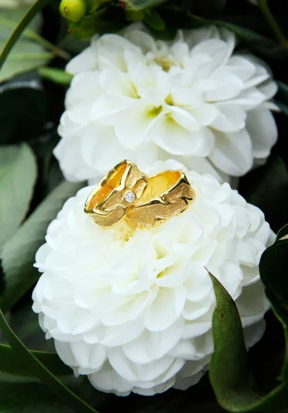 Golden Wedding Rings Flowers — Stock Photo, Image