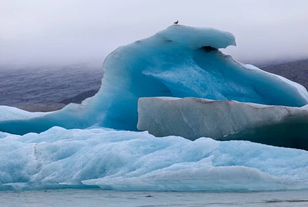 Ice Icebergs Jkulsrln Glacial Lake Lagoon Iceland Europe — Zdjęcie stockowe