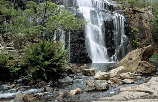 Mackenzie Falls Grampians National Park Victoria Australia Oceania — Stockfoto