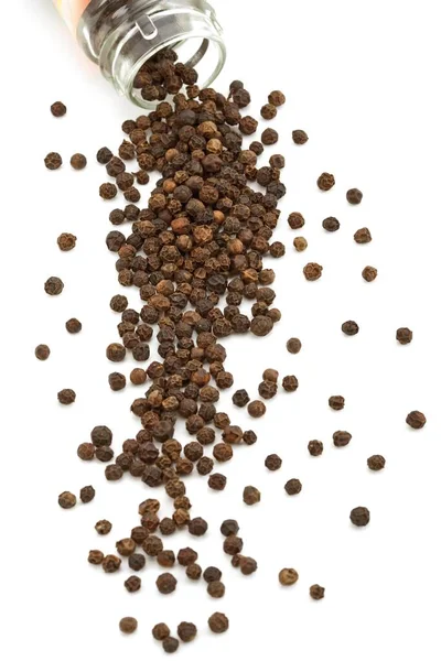 Pepper Corns Close View — Stockfoto