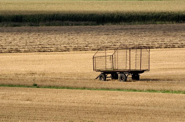 Harvested Fields Empty Car Hay Wagon North Friesland Schleswig Holstein — Zdjęcie stockowe