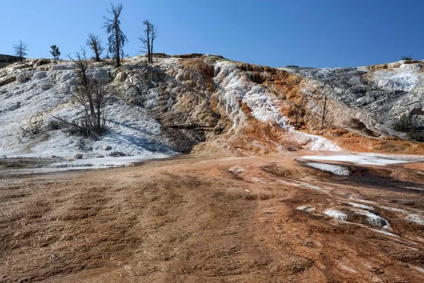 Travertine Terraces Hot Springs Mineral Deposits Canary Spring Main Terrace — Zdjęcie stockowe