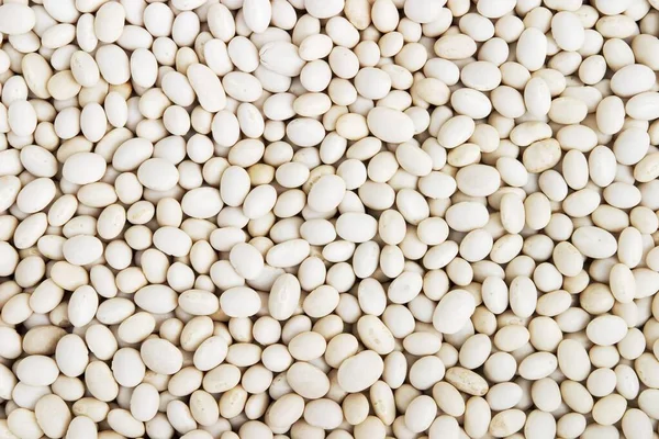 White Dried Beans Texture Background — 图库照片