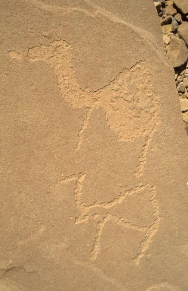 Historic Petroglyphs Oasis Bzemah Bzimah — Stock Fotó