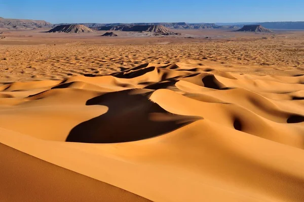 Morning Light Sanddunes Erg Tihoulahoun Erg Tihoulahoun Immidir Mouydir Sahara — Stockfoto
